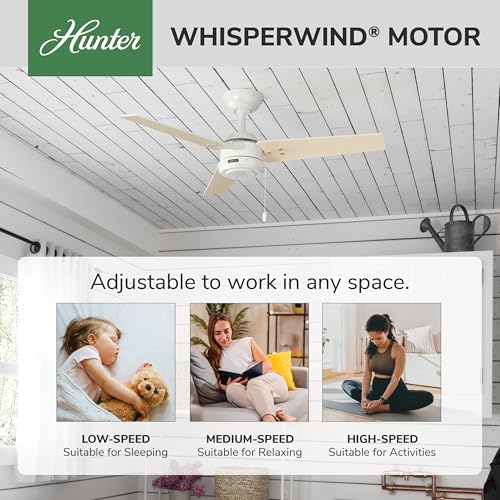 Image of Hunter Cassius, Outdoor or Indoor, Ceiling Fan, 44 inch, Fresh White