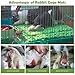 kathson 16PCS Rabbit Mat Plastic Cage Mat Floor Mats Bunny Hole Leak Water Pads for Pet Cats Dogs Hamster Rat Chinchilla Guinea Pig and Other Small Animals