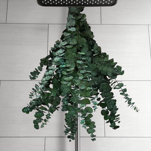 12 PCS Dried Eucalyptus Stems for Shower Hanging 100% Made from Fresh Leaves 17 Preserved Eucalyptus for Vase Filler Wedding Farmhouse Bathroom Home & Spa Decor