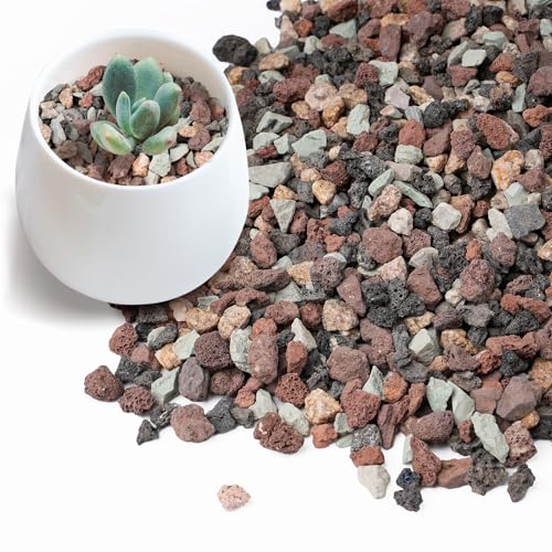 Image of 2.5lbs Mix Horticultural Lava Rock for Plants, 1 /5 Inch Potting Soil Amendment for Succulents, Cactus & Bonsai, Decorative Volcanic Gravel for Terrarium, Drainage Gritty Rock, Top Dressing