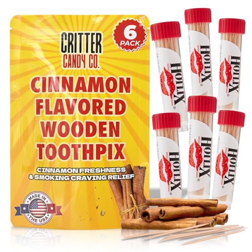 Hotlix Cinnamon Toothpicks (6-Pack 120 total) Flavored Toothpicks Travel Toothpicks Toothpicks for Food Wooden Toothpicks Fancy Toothpicks for Appetizers Best Quit Smoking Products Made in USA