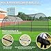 Happybuy 22FT Baseball Batting Cage, Softball & Baseball Net with Frame, Heavy Duty Portable Pitching Cage for Backyard Training, Includes Carry Bag, Durable Polyester Net