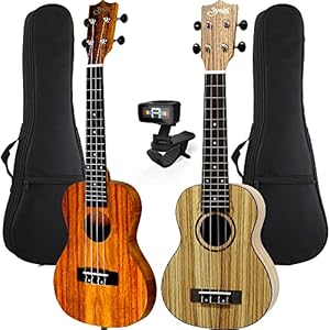 S.YAIRI ソプラノ&コンサートの2本入り! ウクレレWセット(ソプラノサイズ ゼブラウッド材 YU-S-03ZW/コンサートサイズ コア材 薄型ボディ YU-TRC-01K/D'Addario クリップチューナー PW-CT-13)ギグバッグ付属 親子 カップル 友達と一緒に!