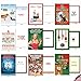 NobleWorks - 36 Assorted Bulk Box Set Humor Holiday Greeting Cards w/Envelopes, Funny Merry Christmas Variety Pack for Men + Women (36 Designs, 1 Each) - Humorous Holidays AC7140XSG-B1x36