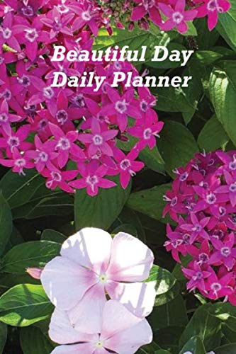 Beautiful Day Daily Planner: A Daily Planner With Health Reflection Areas