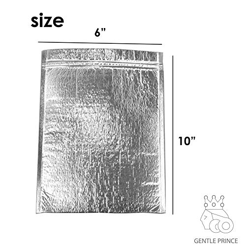 With Molly Insulated Easy Zip Lock Resealable Aluminum Bag with ice pack Lunch Bag Sandwich Bag Hot & Cold Pouch Reusable Thermal Picnic Bag (6 x 10 Inch)