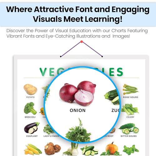 Image of VEGETABLE CHART HARD LAMINATED | inchColorful Garden Guide inch