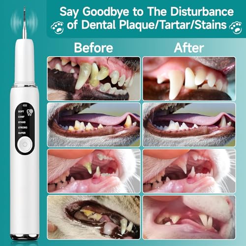 Image of Ultrasonic Dog Toothbrush - Electric Plaque & Tartar Remover Kit with 5 Modes and 2 Heads, Gentle and Safe Teeth Cleaning Tool for Dogs, Improves Pet Oral Health
