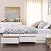 Prepac Mate's Queen 6-Drawer Minimalist Platform Storage Bed, Contemporary Queen Bed with Drawers 81.5