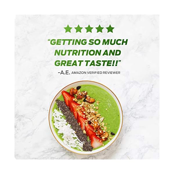 Vega-One-Organic-Chocolate-Meal-Replacement-Protein-Powder-Vegan-Plant-Based-Superfood-Vitamins-Probiotics-Dairy-Free-Gluten-Free-Pea-Protein-for-Women-and-Men-16-Pounds-17-Servings Vega Organic All-in-One Vegan Protein Powder, Chocolate - Superfood Ingredients, Vitamins for Immunity Support, Keto Friendly, Pea Protein for Women & Men, 1.6 lbs (Packaging May Vary)