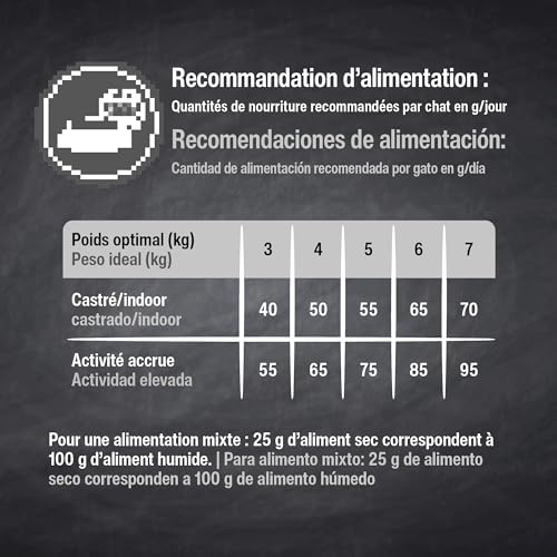 Leonardo Adult Complete 32/16 | 300 g | Aliments secs pour Chats Adultes | Teneur réduite en énergie pour Une Silhouette Svelte | pour Chats Moins Actifs – Image 5