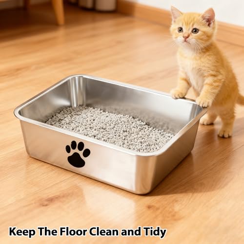 Arenero metálico pequeño para gato de acero inoxidable miniatura 2