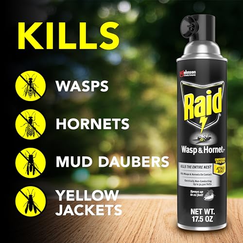 Raid HWI 756328 Wasp And Hornet Killer  thumb #2
