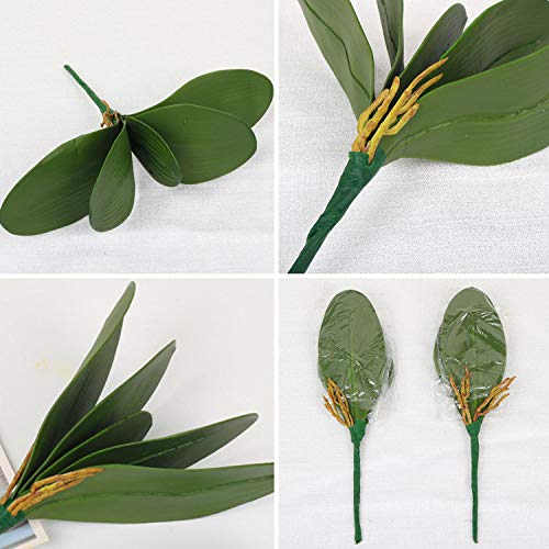 FagusHome 6 Pz Foglie d'orchidea phalaenopsis