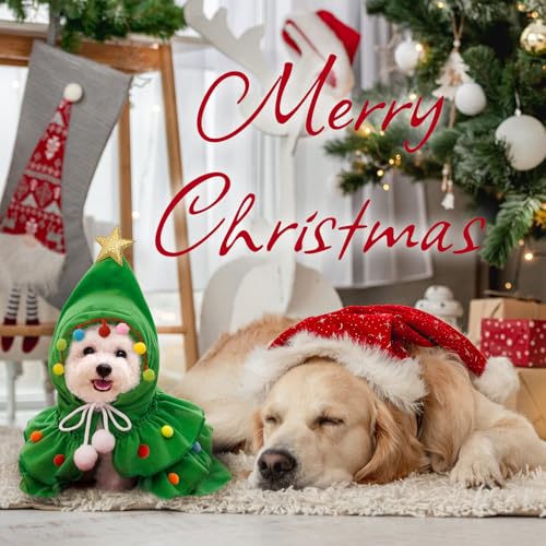 Disfraz Navidad para perro pequeño y gato con capa y pompón miniatura 4