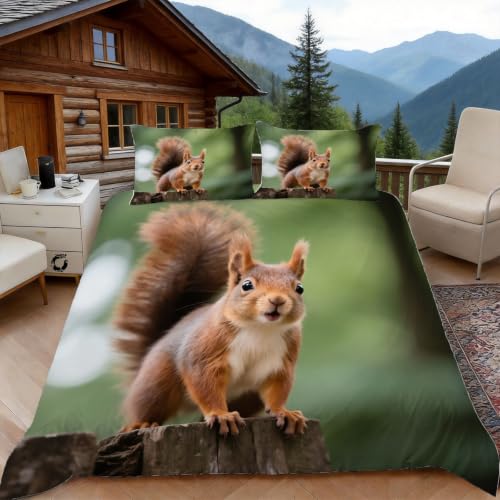 Housse de couette écureuil 200x200 parure de lit microfibre animaux mignons