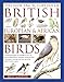 Produktbild The New Encyclopedia of British, European & African Birds: An Illustrated Guide and Identifier to Over 550 Birds, Profiling Habitat, Behaviour, ... Habitat, Behaviour, Nesting and Food