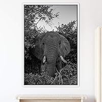 Framed Canvas Wall Art Duotone Elephants Animals Black and White Bohemian Duotone Elephants Expressive Grey Living Room Photography - 16x24 inches