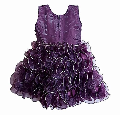 Image of Fit & Flare Net Fabric Frock Dress Frocks for Baby Girls