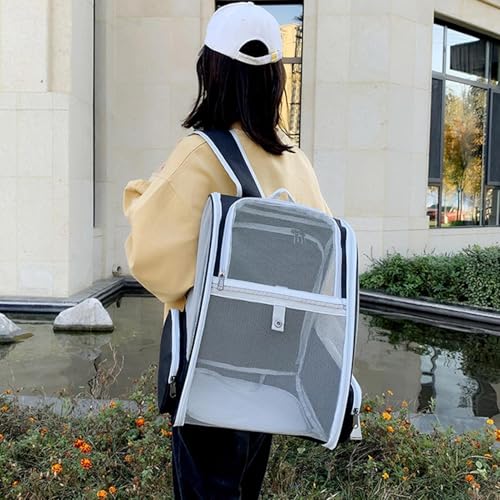 Mochila de salida para mascotas: soluciona el estrés del transporte convencional 3
