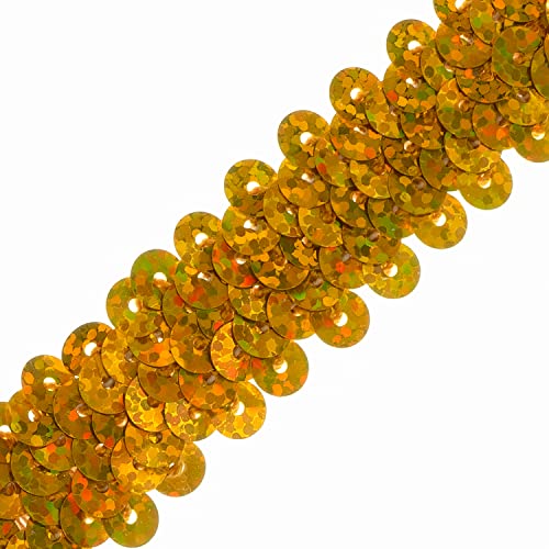 Trims by the Yard 2-Row Starlight Hologram Sequin Stretch Trim, 7/8-Inch Versatile Sequins for Crafts, Durable Sequin Trim for Costumes, Fashion, and Home Decor, Gold