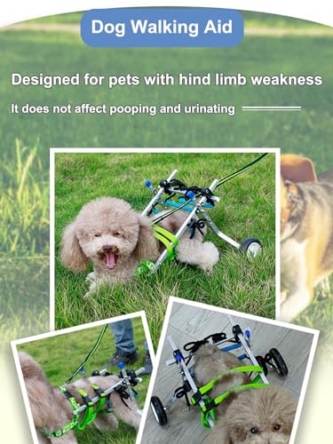 Fauteuil roulant pour chien paralysé et blessé taille XS