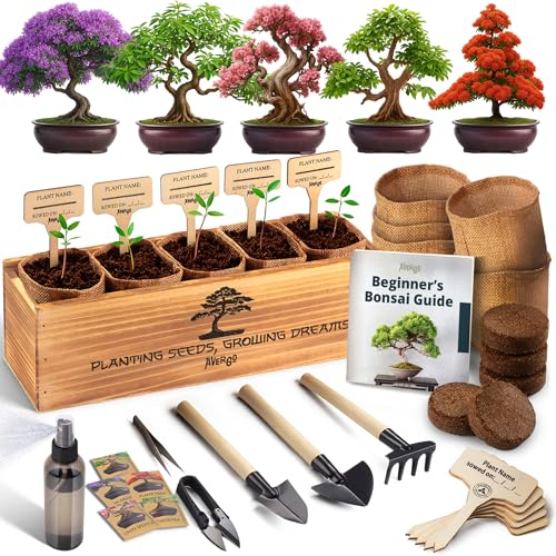 AVERGO Bonsai Tree Kit for Beginners – 5X Unique Japanese Bonzai Trees | Complete Indoor Bonsai Starter Kit for Growing Bonsai Plants with Tools & Planters – DIY Gardening Gifts for Women & Men