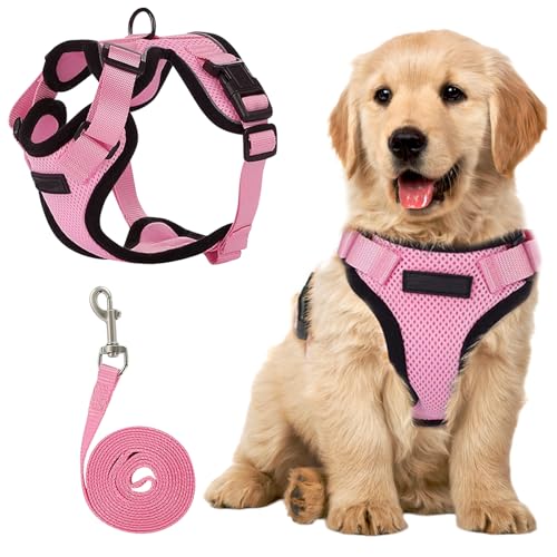 HTTDSLF Pettorina Cane Taglia Grande, Step-in Pettorina per Cani Gatti Cuccioli con Guinzaglio Comodo, Riflettente Traspirante Imbracatura Cane Morbida Imbottito per Passeggiate Corsa