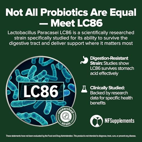 Image of Lactobacillus Paracasei Probiotic 240 Tablets (4 Month Supply) - Researched Strain - 3 Billion CFU - Digestive Health & Wellness Support - GMP Certified (240, Lactobacillus Paracasei)