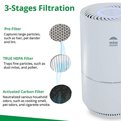 Hepa Filter Air Purifier For Extra Large Room, 25Db Quiet Cleaner For Virus, Bacteria, Pollen, Smoke, Dust, White #TOP3