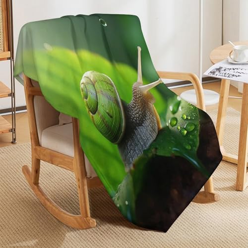 Manta de franela para sofá ligera y lavable de caracol 130x150cm 5