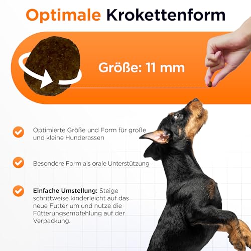 Hypoallergen | Getreidefreies Hundefutter trocken | Mit Lachs & Kartoffel | Für gesunde Haut & glänzendes Fell | Mit hohem Fleischanteil | Leicht verdaulich (3kg)