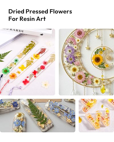Image of Dried Pressed Flowers, Resiners Dried Flowers for Candle Making Real Natural Pressed Flowers Dry Leaves Kit for DIY Crafts Resin Soap Scrapbook Card Making Jewelry (Gerbera Daisy 100pcs)