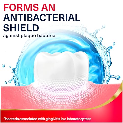 Active Gum Health Mouthwash, Antiplaque and Antigingivitis Mouthwash, Mint, 3x16.9 Fl Oz