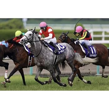 Amazon.co.jp: ゴールドシップ 菊花賞 宝塚記念 生写真 JRA