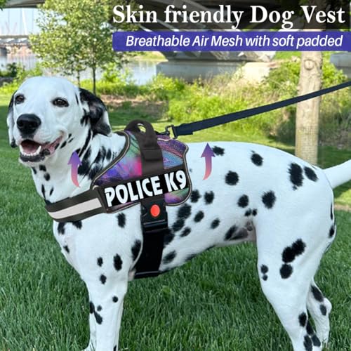 Image of Berlin's Police K9 Dog Harness with Leash, Dog Vest with Handle, Reflective Adjustable No-Pull Harness for Dogs Heavy Duty Nylon, for Training, Patrol, Hiking (Multicolor, Small (5-12Kg))