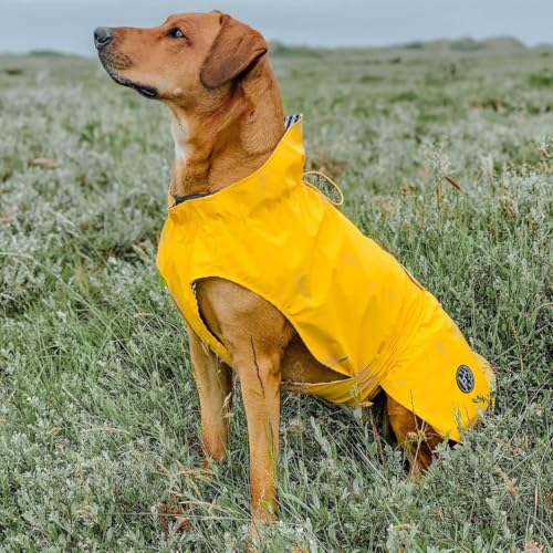 Hunter Hunde-Regenmantel Milford Farbe gelb, Größe 50