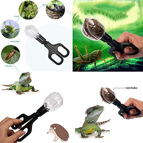 3Pcs Reptile Feeding Tongs Long Tweezers Cricket Clamp Bug Scooper and 2Pcs Reptile Food Bowl Lizard Gecko Food Water… - Image 6