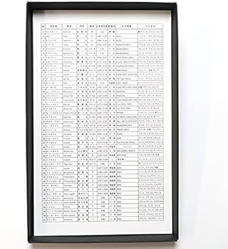 Amazon | SCIENCE「宝石鉱物標本 45種コレクション GEMspecimens