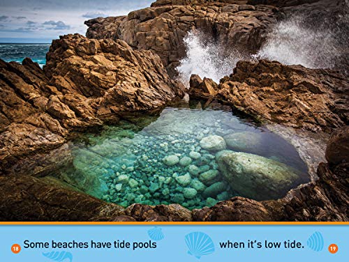 National Geographic Kids Readers: At the Beach (National Geographic Kids Readers: Level Pre-Reader)