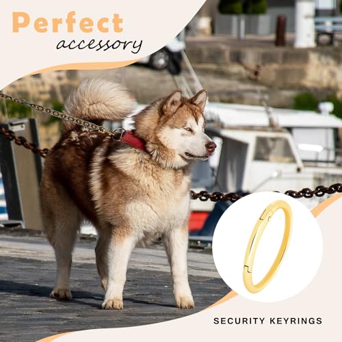 Image of CooBigo 10Pack 2 inch inch Large Round Carabiner Clips, Metal Spring O Rings for Organizer Key Rings, Paracord Keychain Lanyard, Pet Chains, Purse Hardware, Key Snap Hooks DIY Accessory (Bronze)