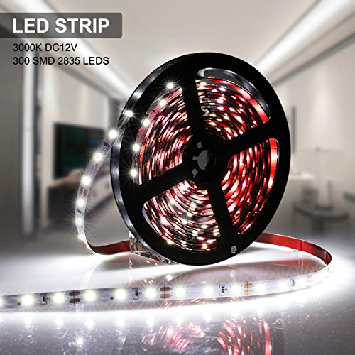 Pelota de Juguete para Mascotas: Diversión y Ejercicio en Uno para Tu Mejor Amigo