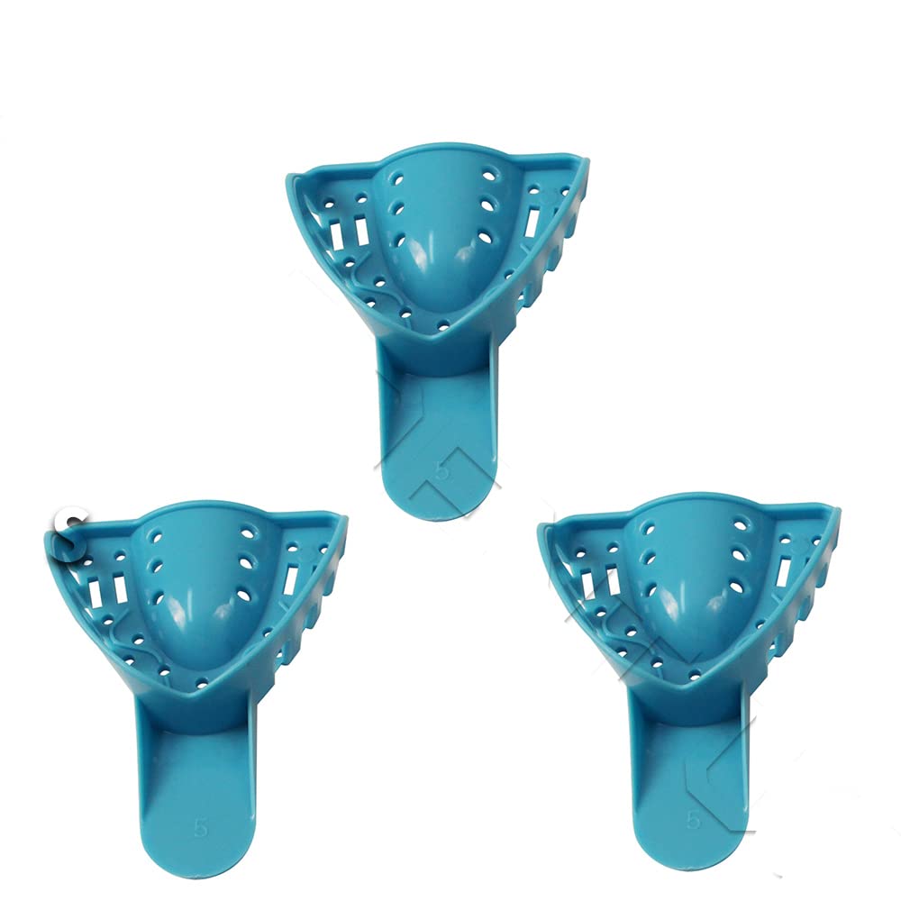 #5 Perforated Impression Trays Small Upper 12 Pieces