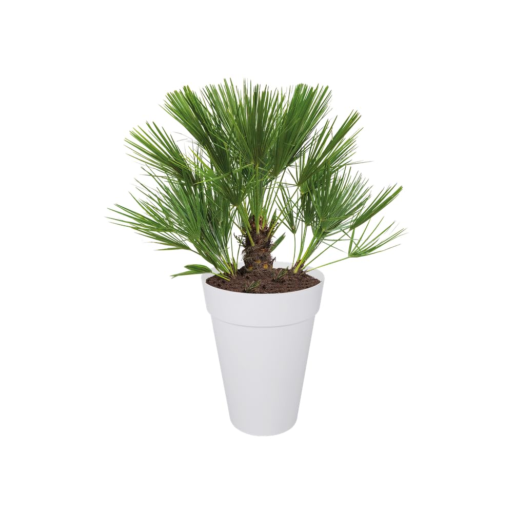Elho loft urban round high 42cm vaso da fiori - White