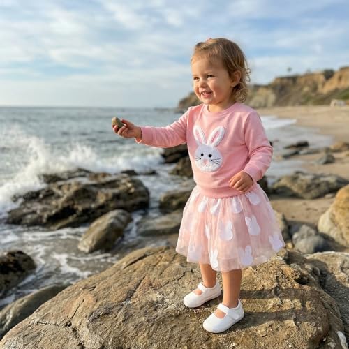 Image of Toddler Girl Easter Outfit Cute Bunny Letter Embroidery Sweatshirt Party Tutu Tulle Skirt Kids Spring Clothes