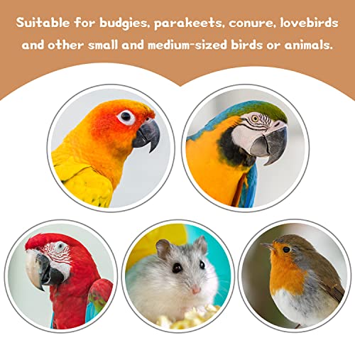 Image of 36 PCS Bird Perches Stand Toy, Natural Wood Parrot Perch Stand Bird Cage Branches Platform Accessories for Parakeets Cockatiels Conures Macaws Finches Love Birds