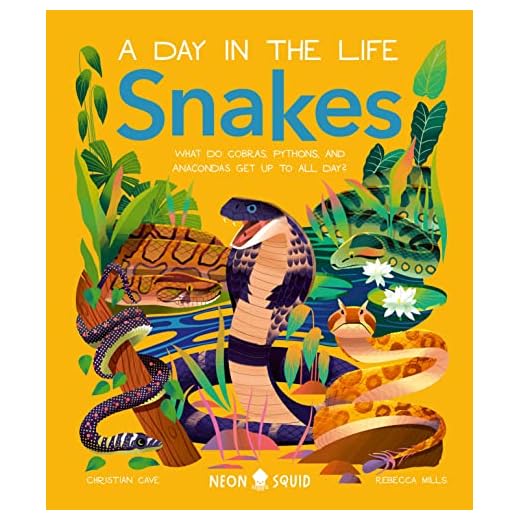 Snakes (A Day in the Life): What Do Cobras, Pythons, and Anacondas Get Up to All Day?