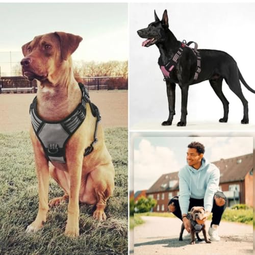 Image of Dog Harness Dog Body Belt Vest for Large Medium Small Dogs with Safety Reflective No Pull Adjustable Military Style Dog Vest Training Harness(Black, Medium)