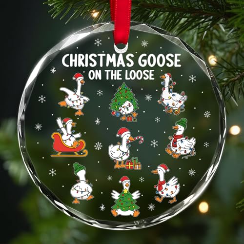 Image of Goose on the Loose Ornament 2025 – Funny Christmas Goose Ornaments, Cute Holiday Xmas Tree Decoration and Gifts for Animal Lovers