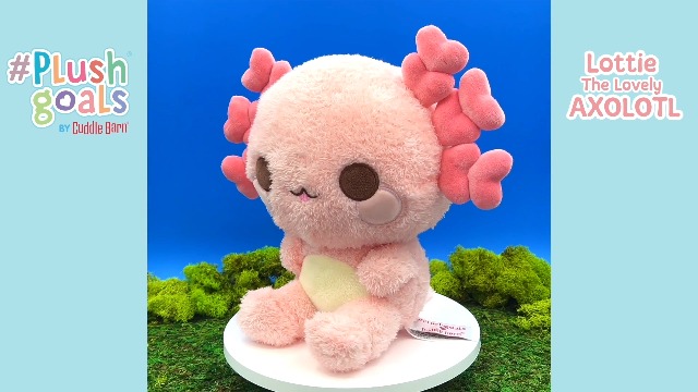 Amazon.com: Cuddle Barn PlushGoals - Lottie the Lovely Axolotl